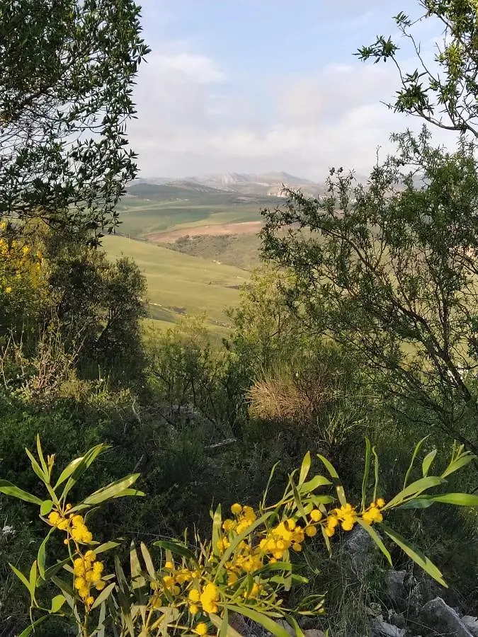 Finca Sabila Valle de Abdalagis 0*,  Spain