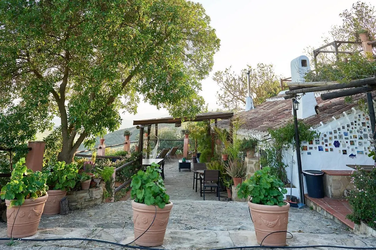Finca Sabila Valle de Abdalagis