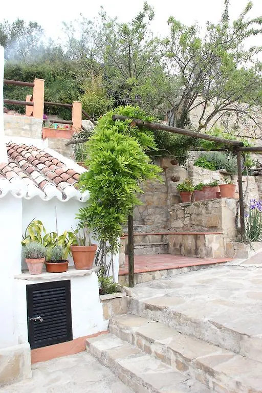Finca Sabila Valle de Abdalagis