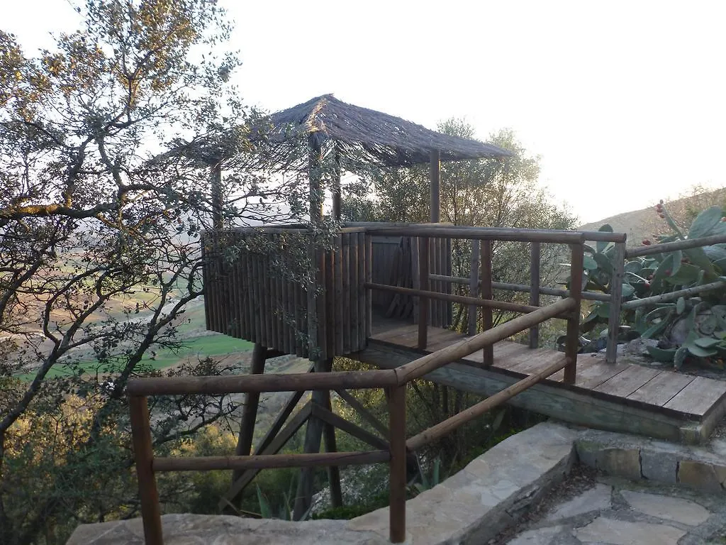 Finca Sabila Valle de Abdalagis